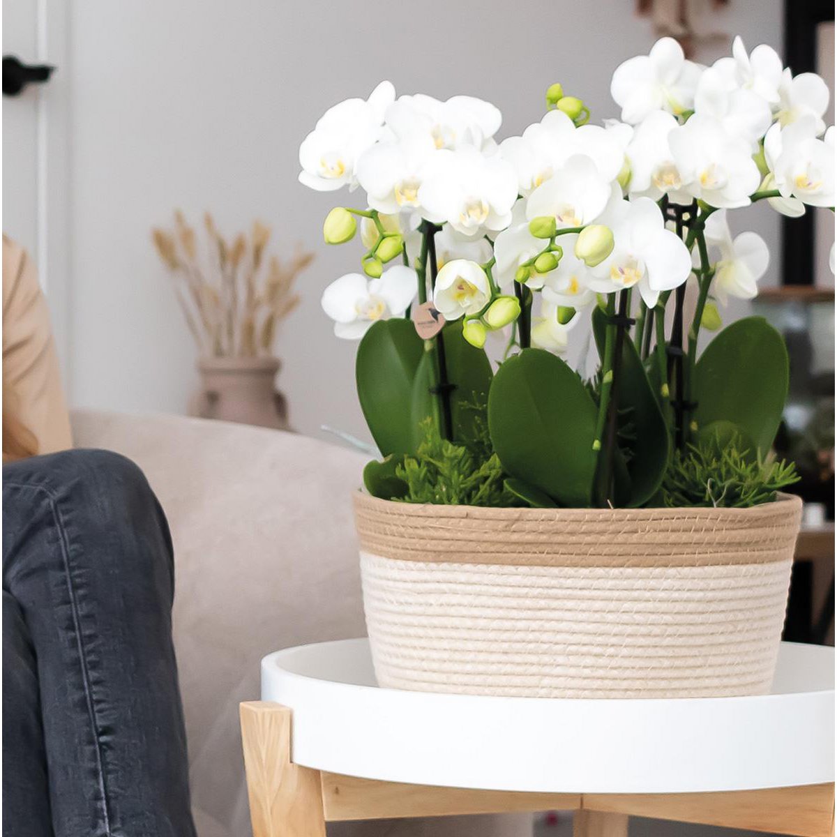 Anro Style Cotton Basket dish wit - Cotton gevlochten schaal met wit detail - potmaat Ø30cm