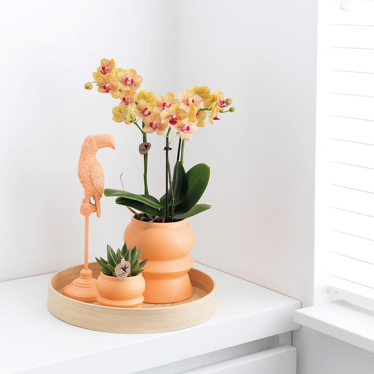 Anro Style Decoratieschaal - Rond egaal bamboe dienblad Ø30cm