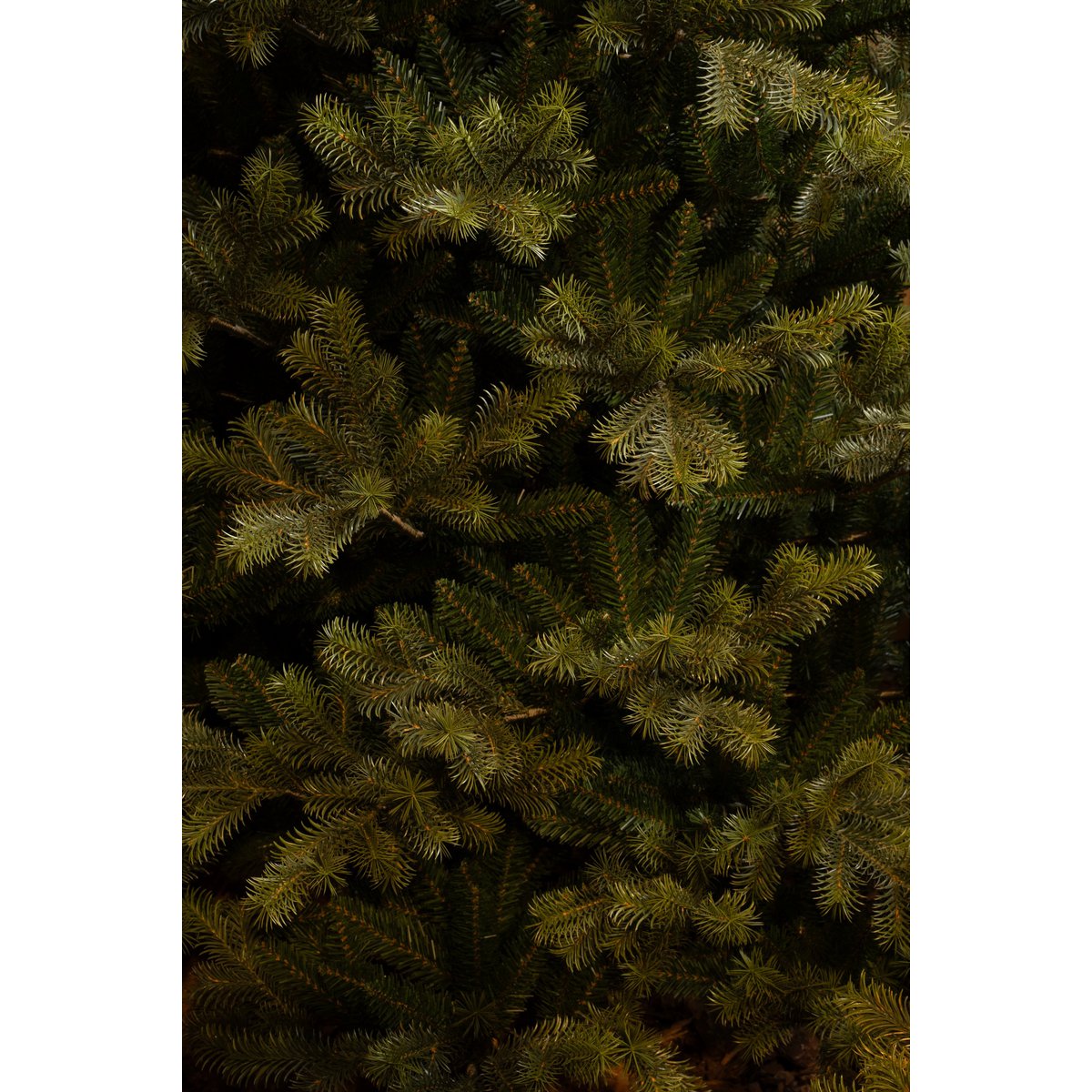 Clive Kunstkerstboom - H230 x Ø147 cm - Groen