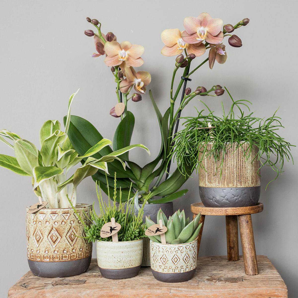 Anro Style Plantenstandaard - Houten planten verhoging Ø12cm