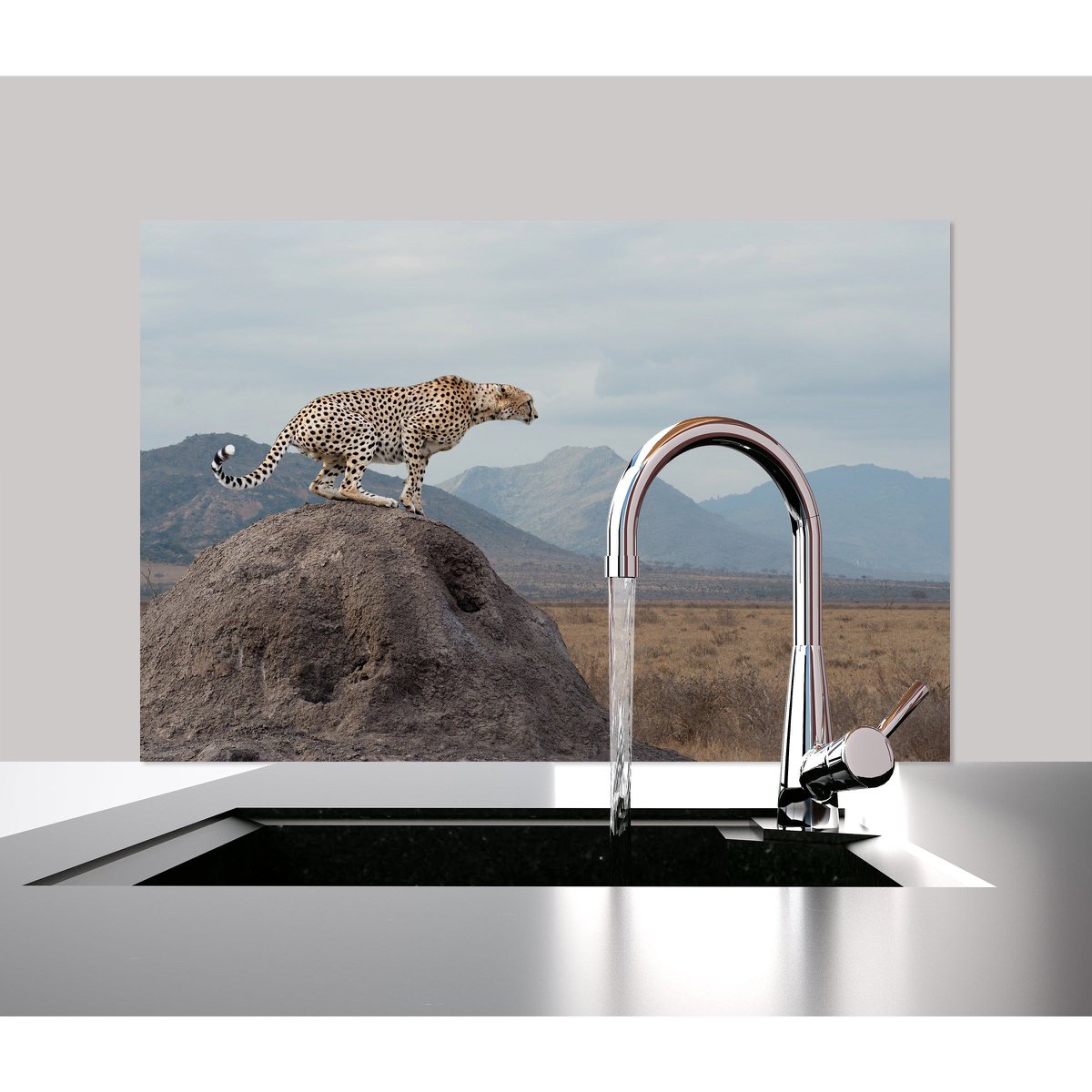 Spatscherm - Cheetah