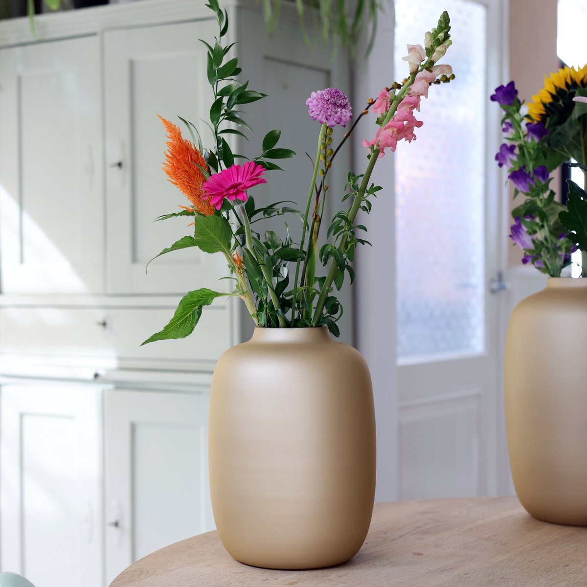 Vaas - Artic matte gold