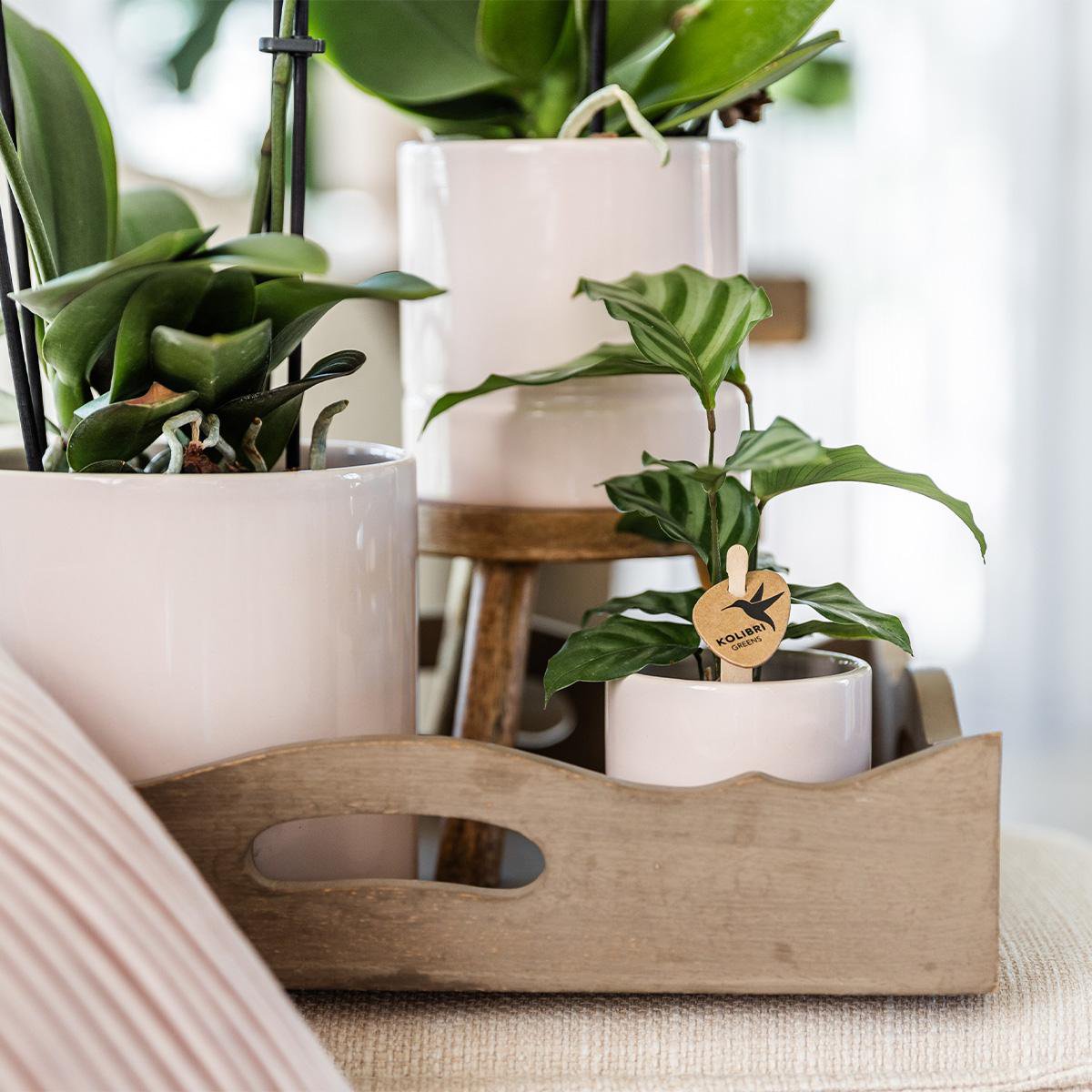 Anro Style Pastel pot pink - Ø9cm