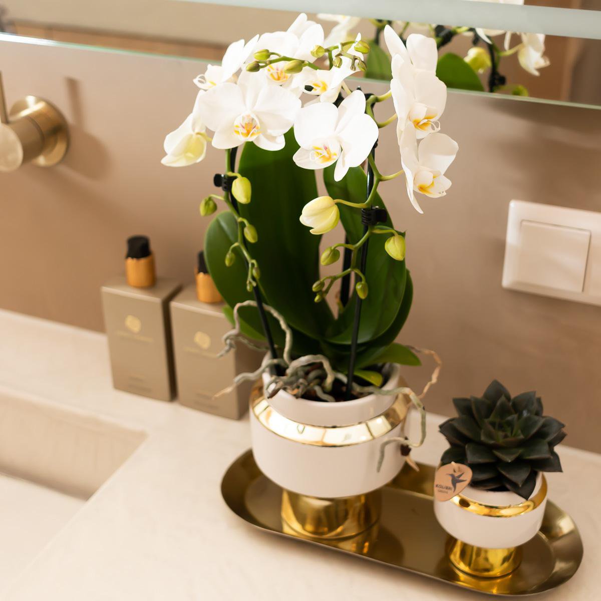 Anro Style Le Chic bloempot - Witte keramieken sierpot met gouden details - Ø9cm
