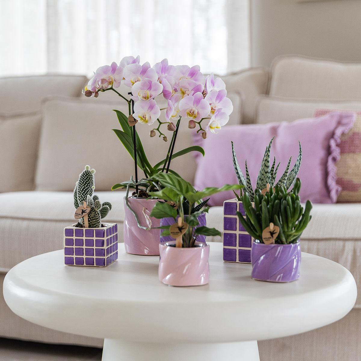 Anro Style Candy sierpot - Lilac - Ø6cm