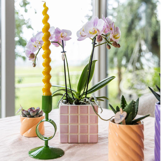 Anro Style roze phalaenopsis orchidee Portugal + Mosa sierpot roze - potmaat Ø9cm | bloeiende kamerplant - vers van de kweker
