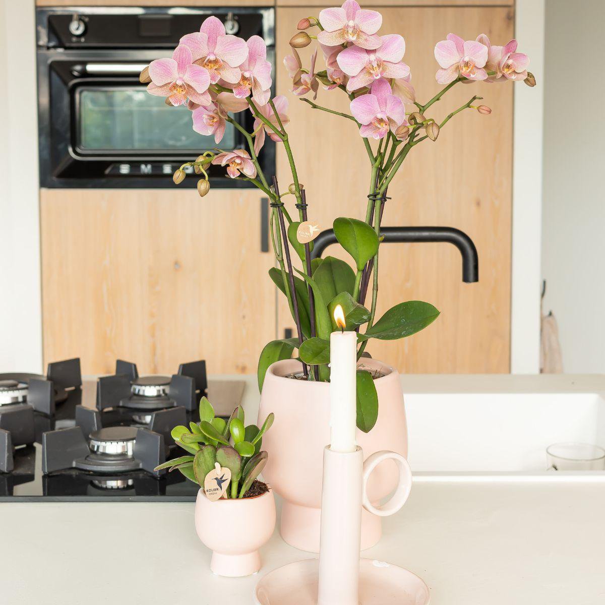 Anro Style Scandic nude bloempot - Nude kleurige keramieken sierpot - potmaat Ø12cm