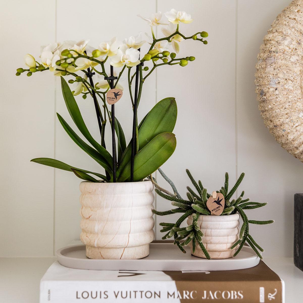 Anro Style Combi deal - Marble Light potten