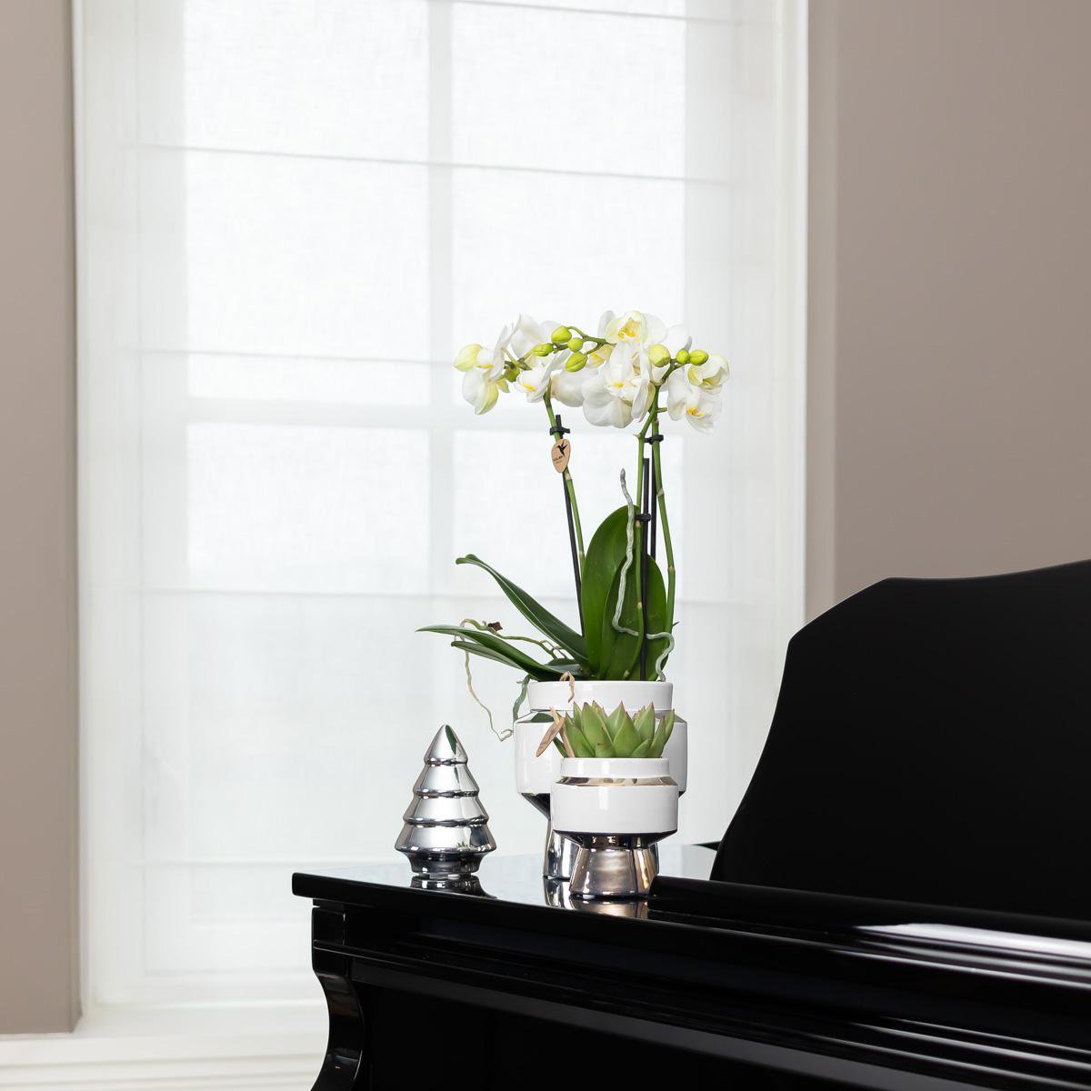 Anro Style Le Chic bloempot - Witte keramieken sierpot met zilveren details - Ø6cm