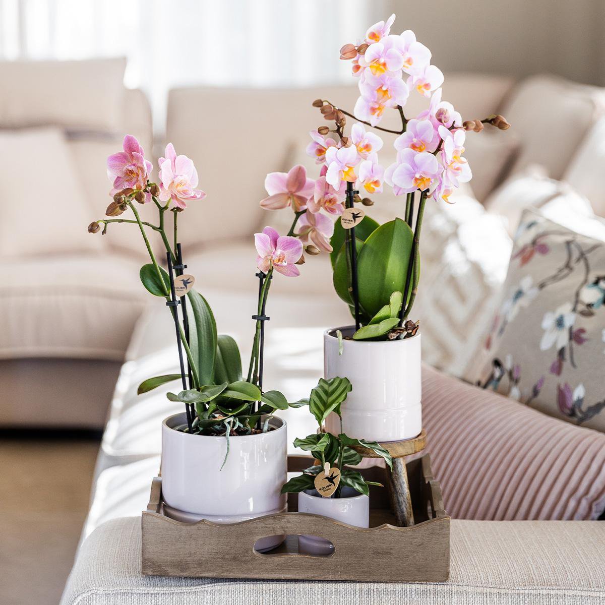 Anro Style Pastel pot white - Ø9cm