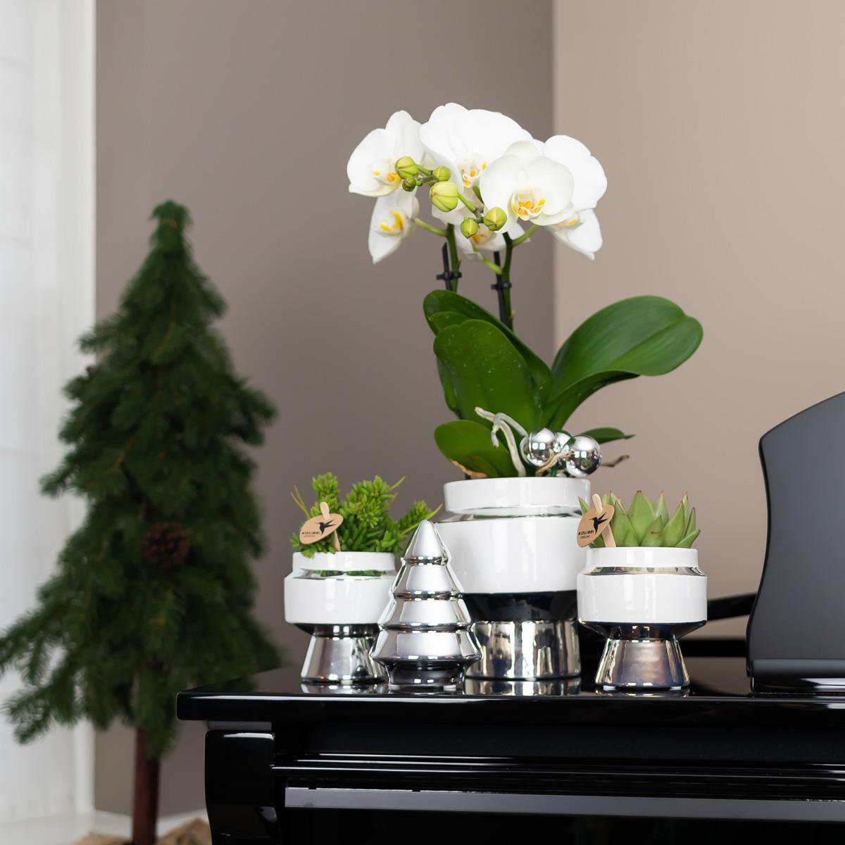 Anro Style Le Chic bloempot - Witte keramieken sierpot met zilveren details - Ø9cm