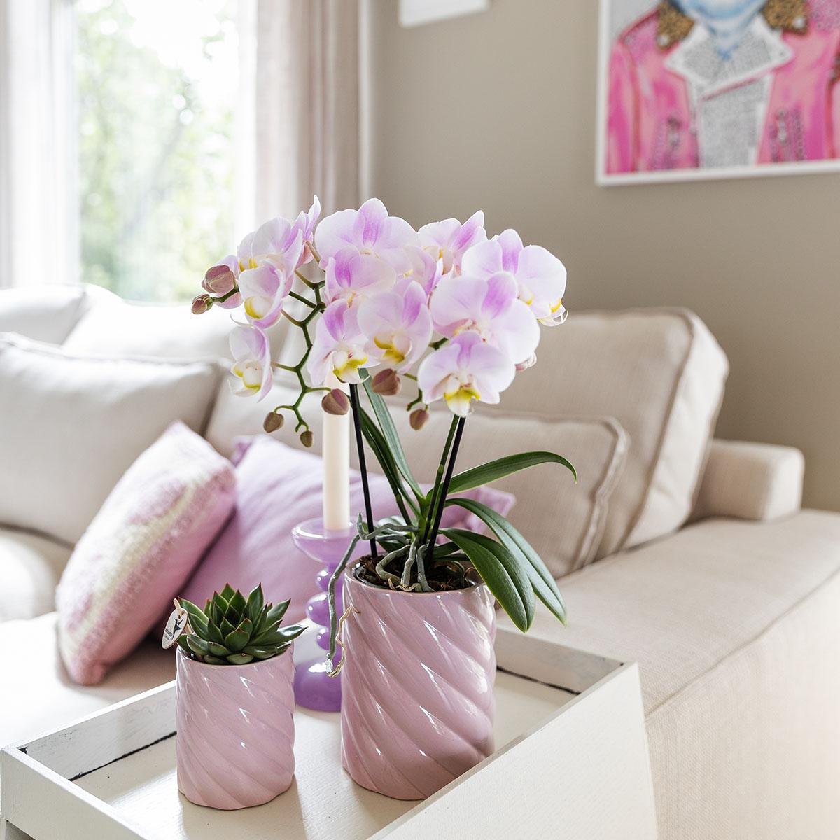 Anro Style Candy sierpot | Hoog - Pink - Ø6cm