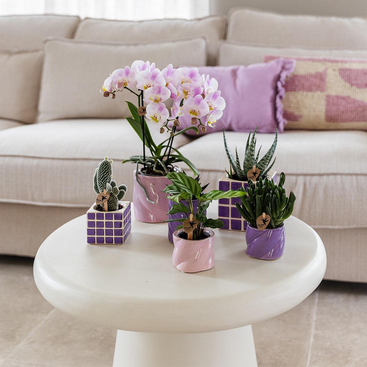 Anro Style Candy sierpot - Pink - Ø9cm