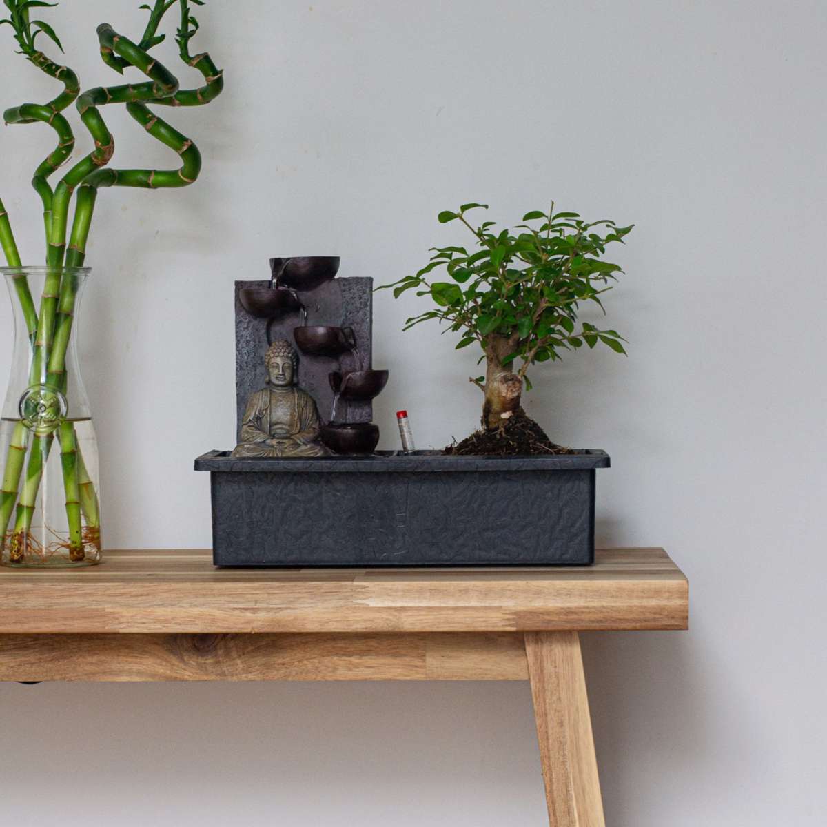 Florastore Waterval Buddha - 2 Pcs. - Bonsai - Height 25-35Cm - ⌀29Cm
