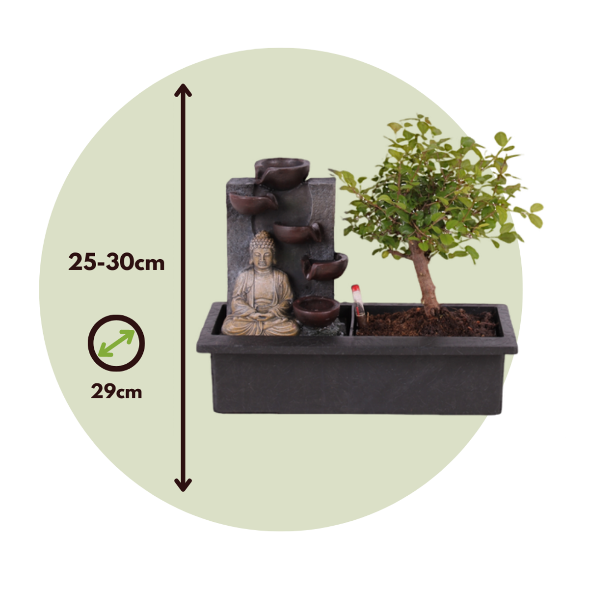 Florastore Waterval Buddha - 2 Pcs. - Bonsai - Height 25-35Cm - ⌀29Cm