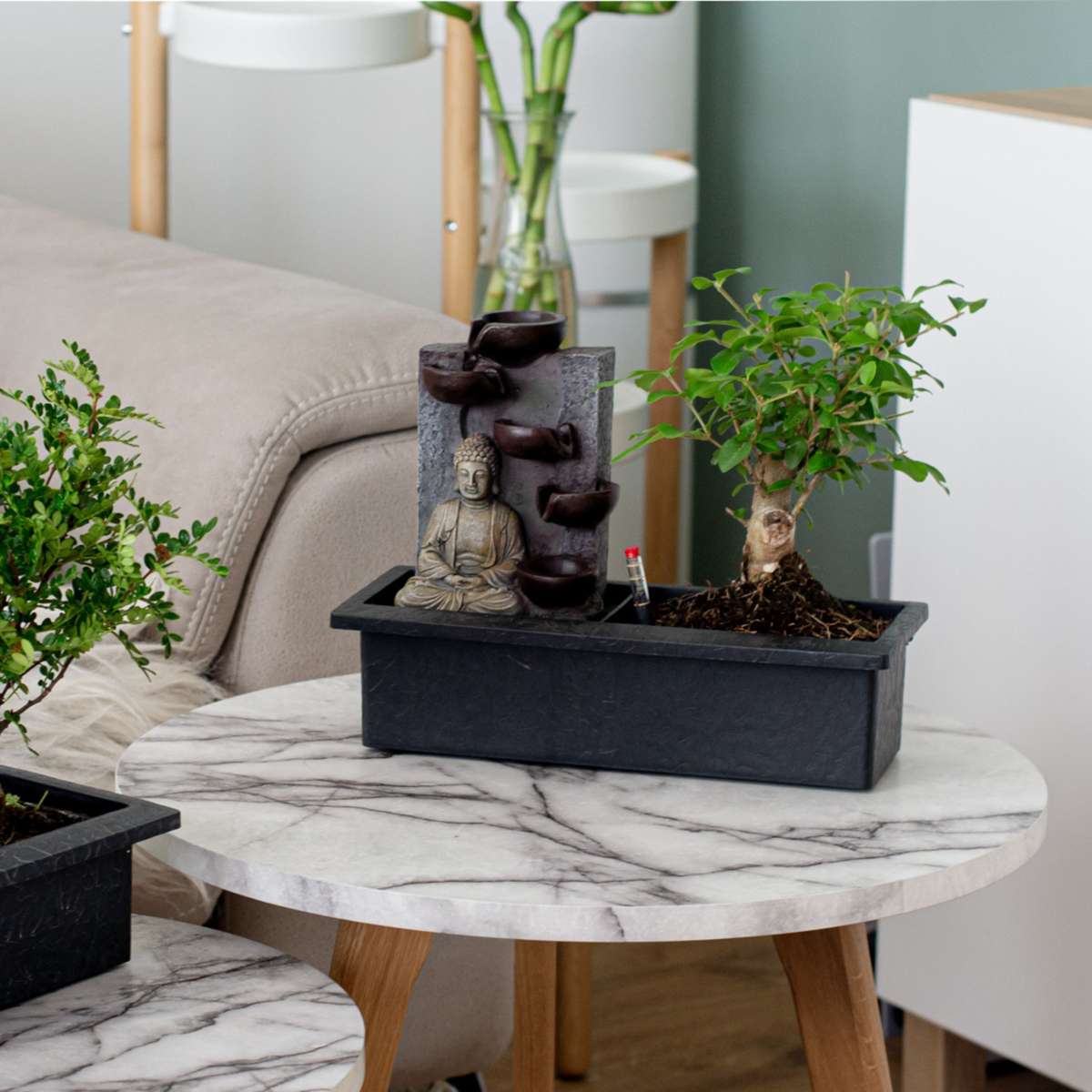 Florastore Waterval Buddha - 2 Pcs. - Bonsai - Height 25-35Cm - ⌀29Cm