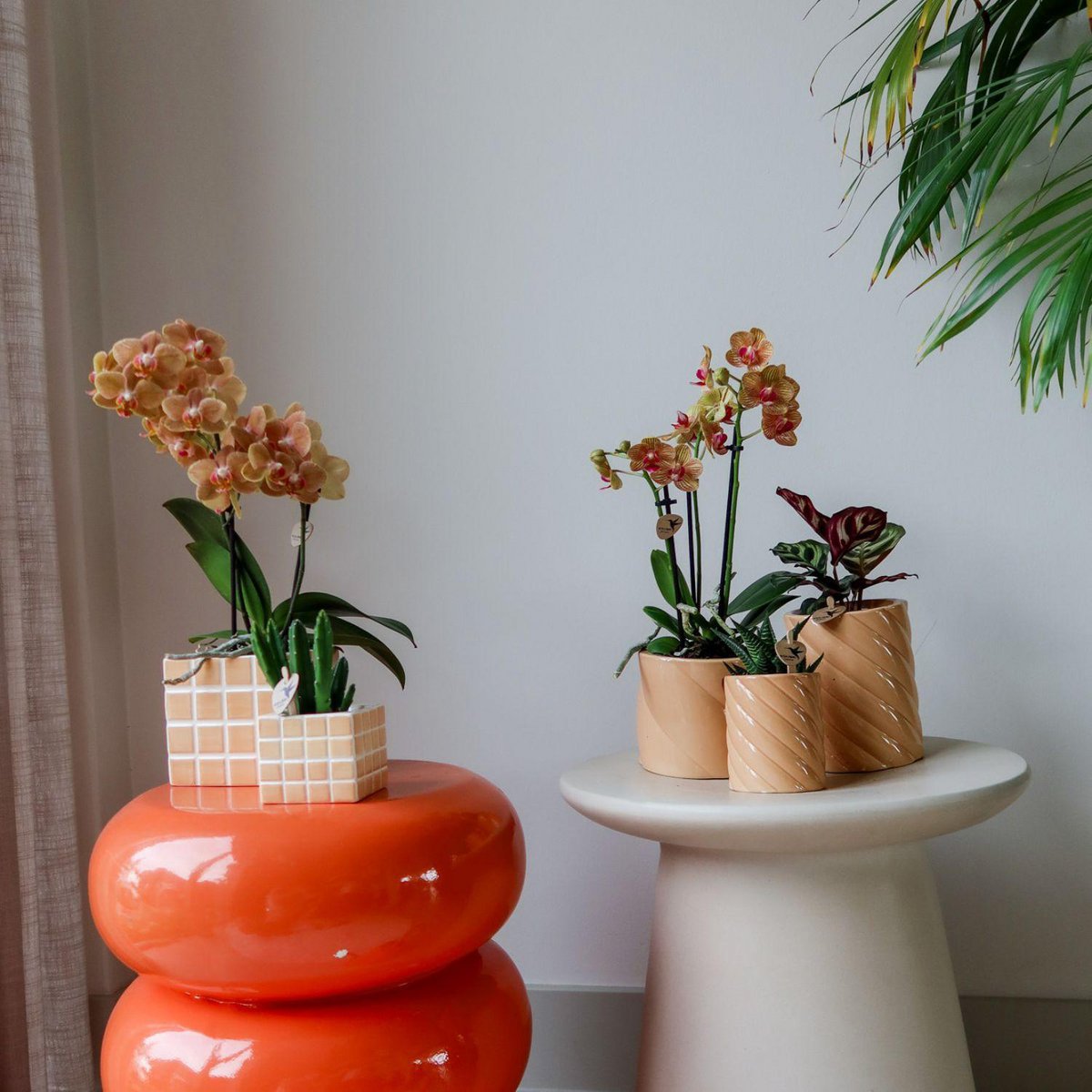 Anro Style Candy sierpot | Hoog - Peach - Ø6cm