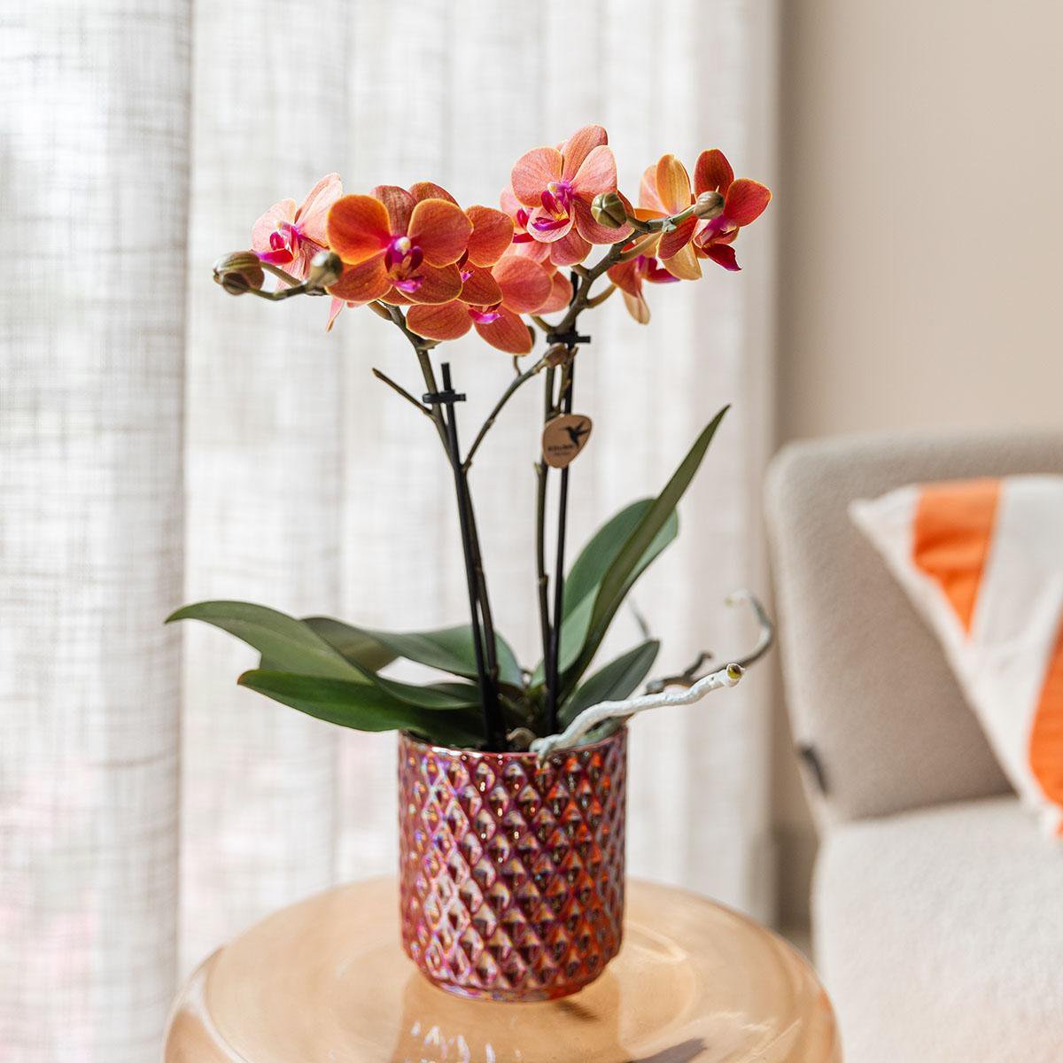 Anro Style Diamond pearl sierpot - Red - Ø9cm