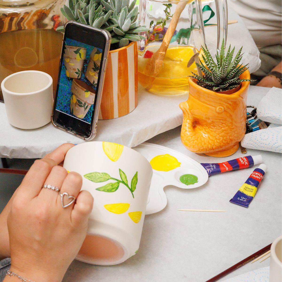 Anro Style Verfpakket voor het schilderen van 12 bloempotten + orchideeën en succulenten | voor minimaal 4 personen | Ware kunstenaar
