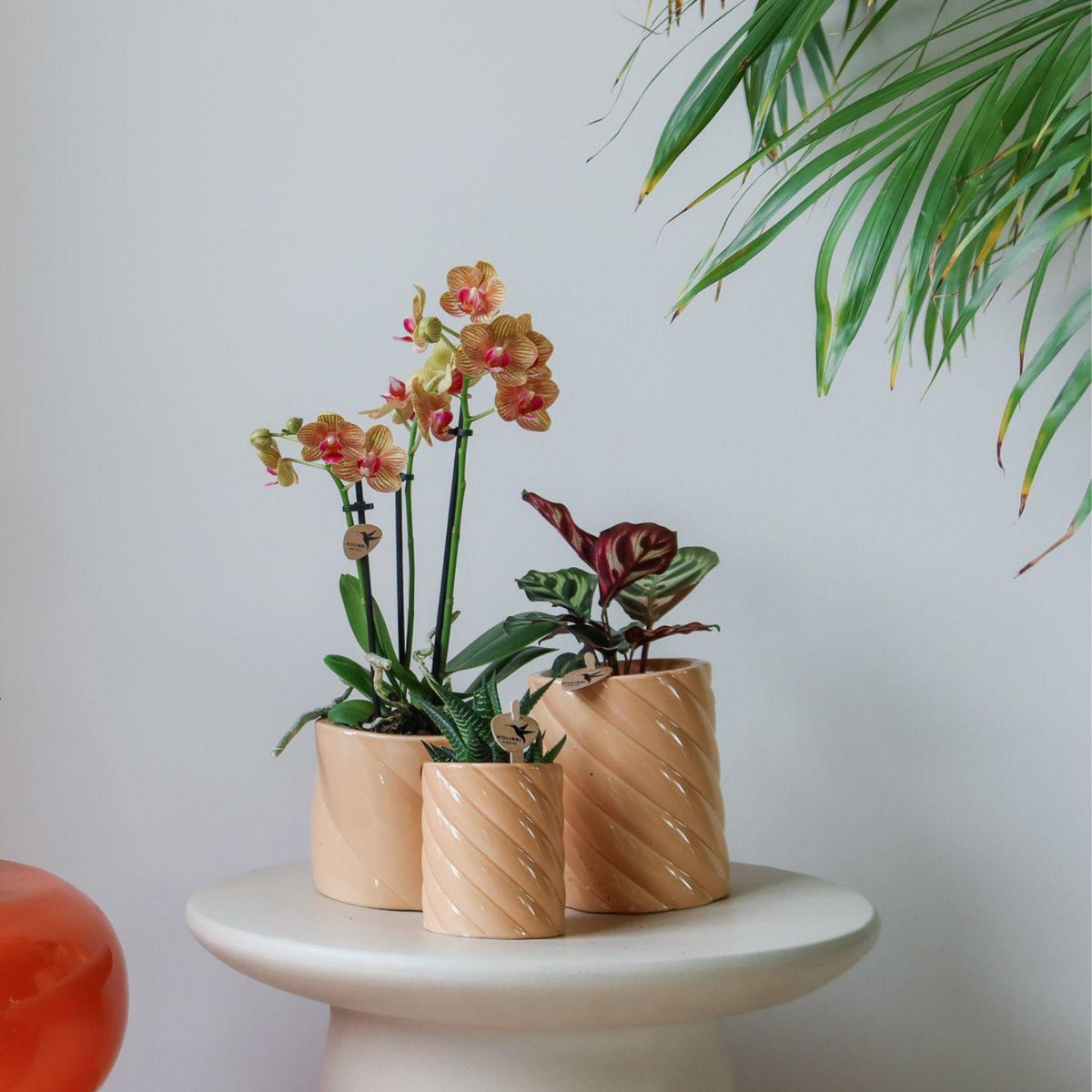 Anro Style Candy sierpot - Peach - Ø9cm
