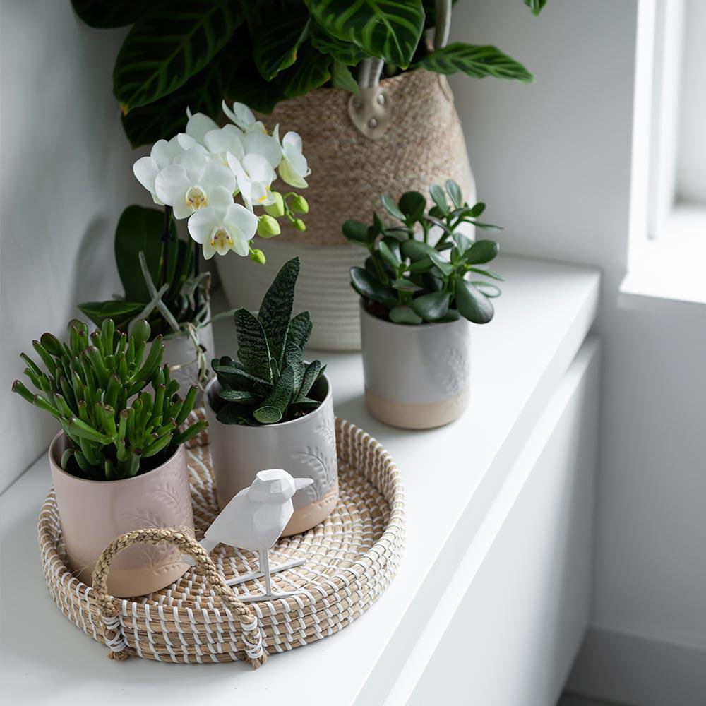 Anro Style Decoratieschaal - Wit gevlochten dienblad Ø30cm