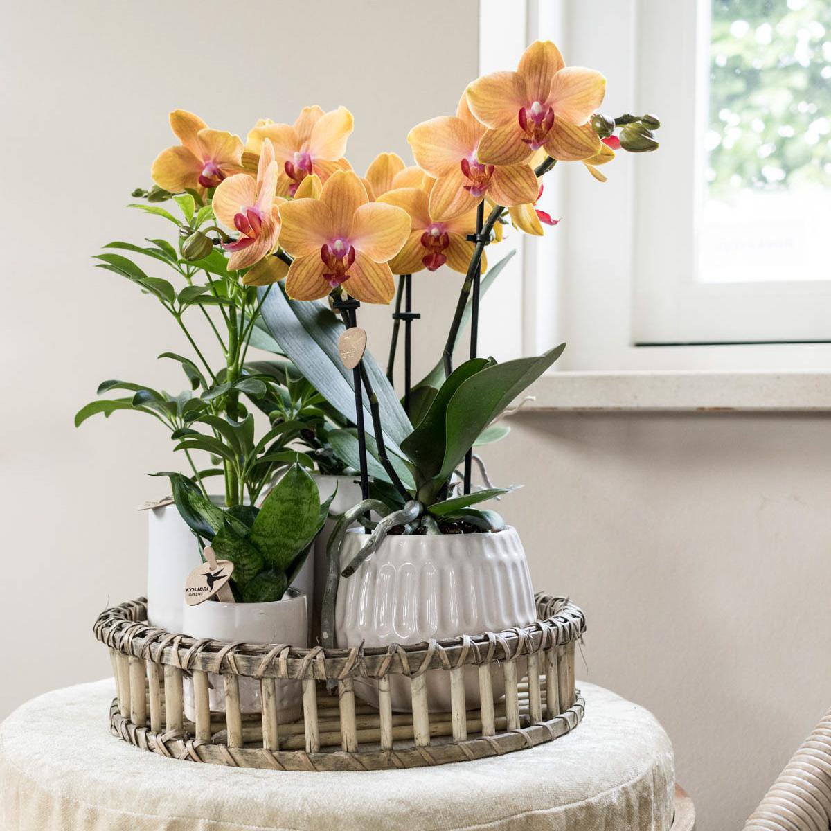 Anro Style Decoratieschaal - Rond Willow dienblad Ø30cm
