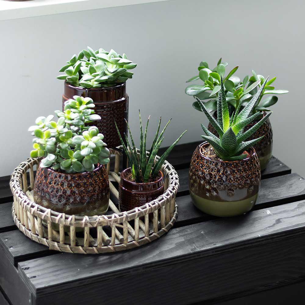 Anro Style Decoratieschaal - Rond Willow dienblad Ø30cm