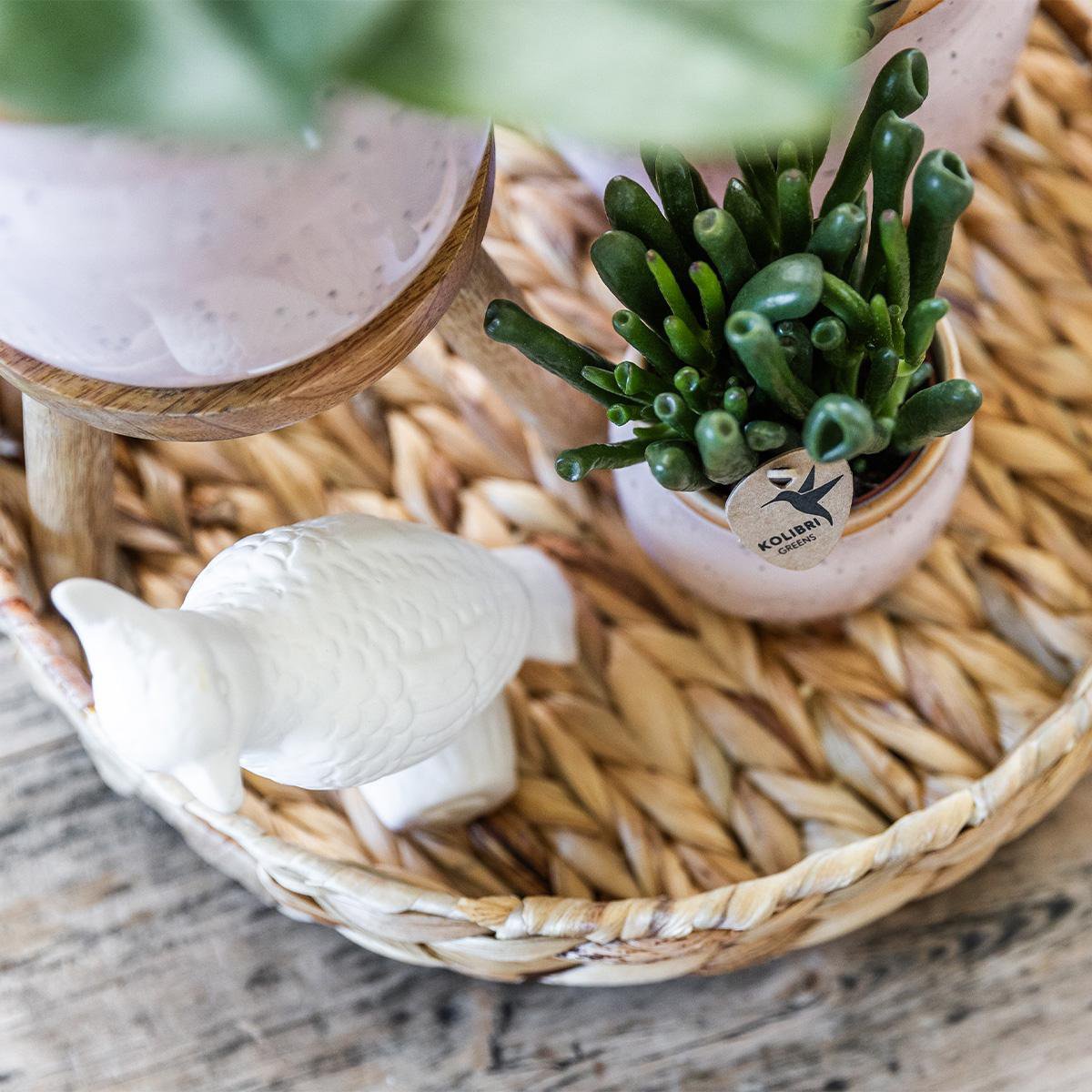 Anro Style Pastel pot pink - Ø9cm