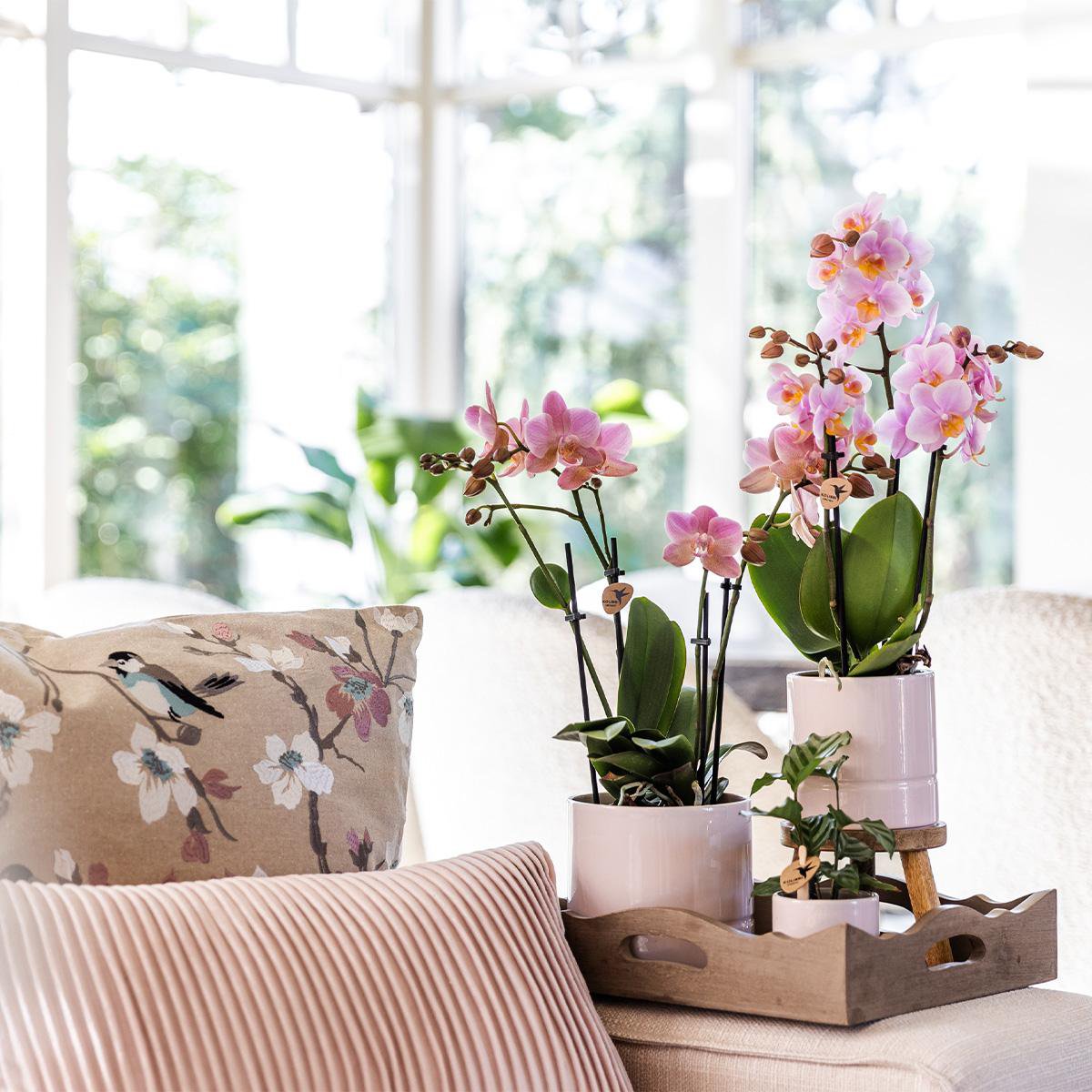 Anro Style Pastel pot pink - Ø9cm
