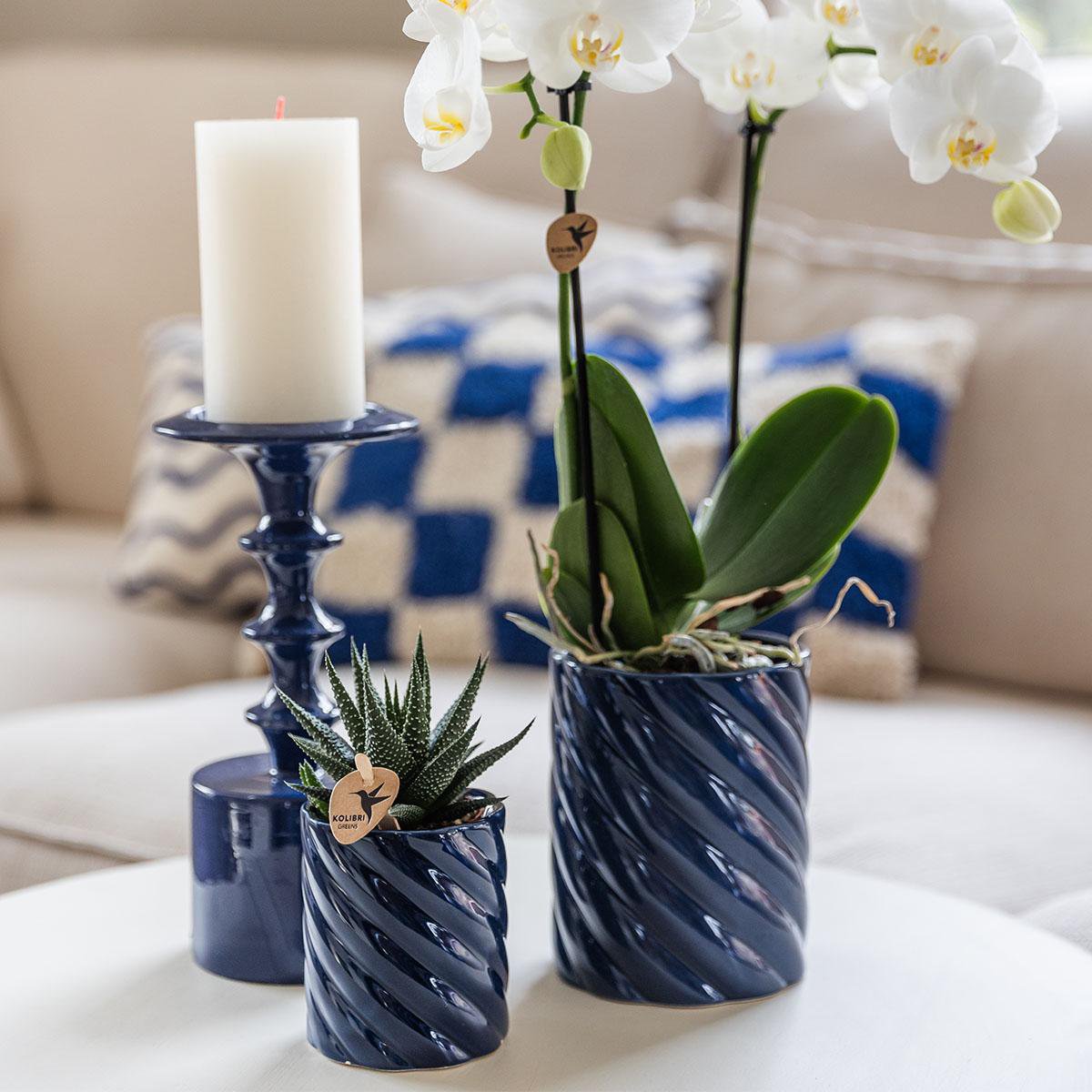 Anro Style Candy sierpot | Hoog - Blue - Ø9cm