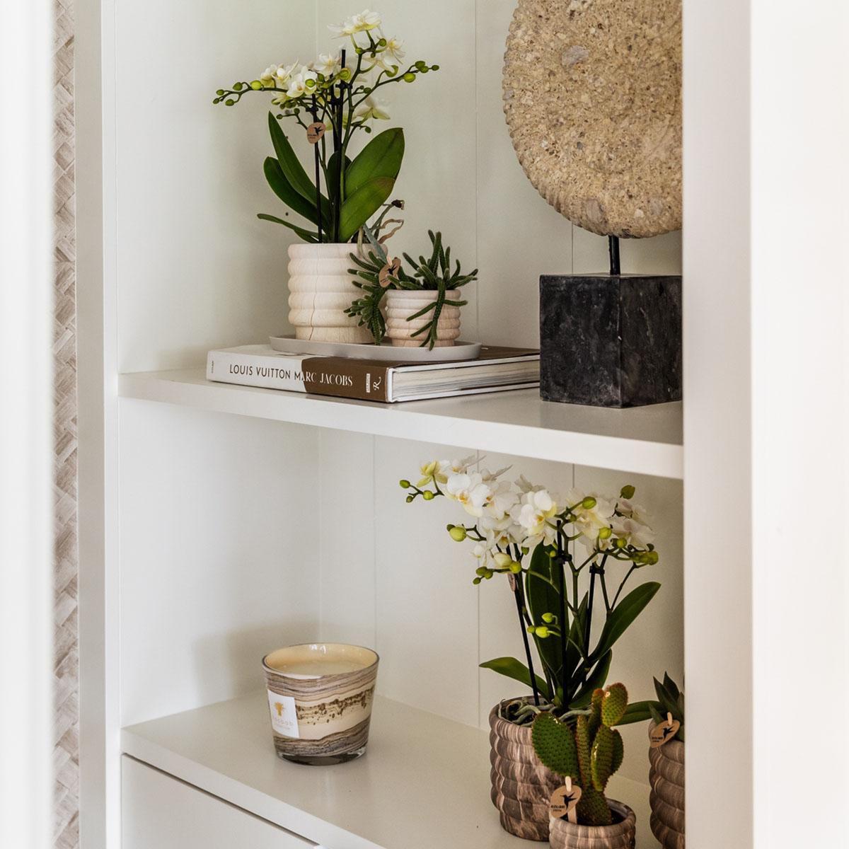 Anro Style Marble pot - Light - Ø6cm