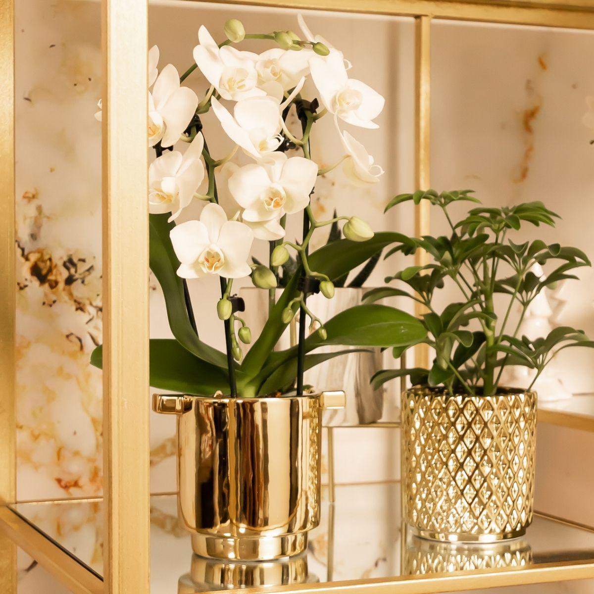 Anro Style Metallic diamond bloempot - Gouden keramieken sierpot Ø9cm
