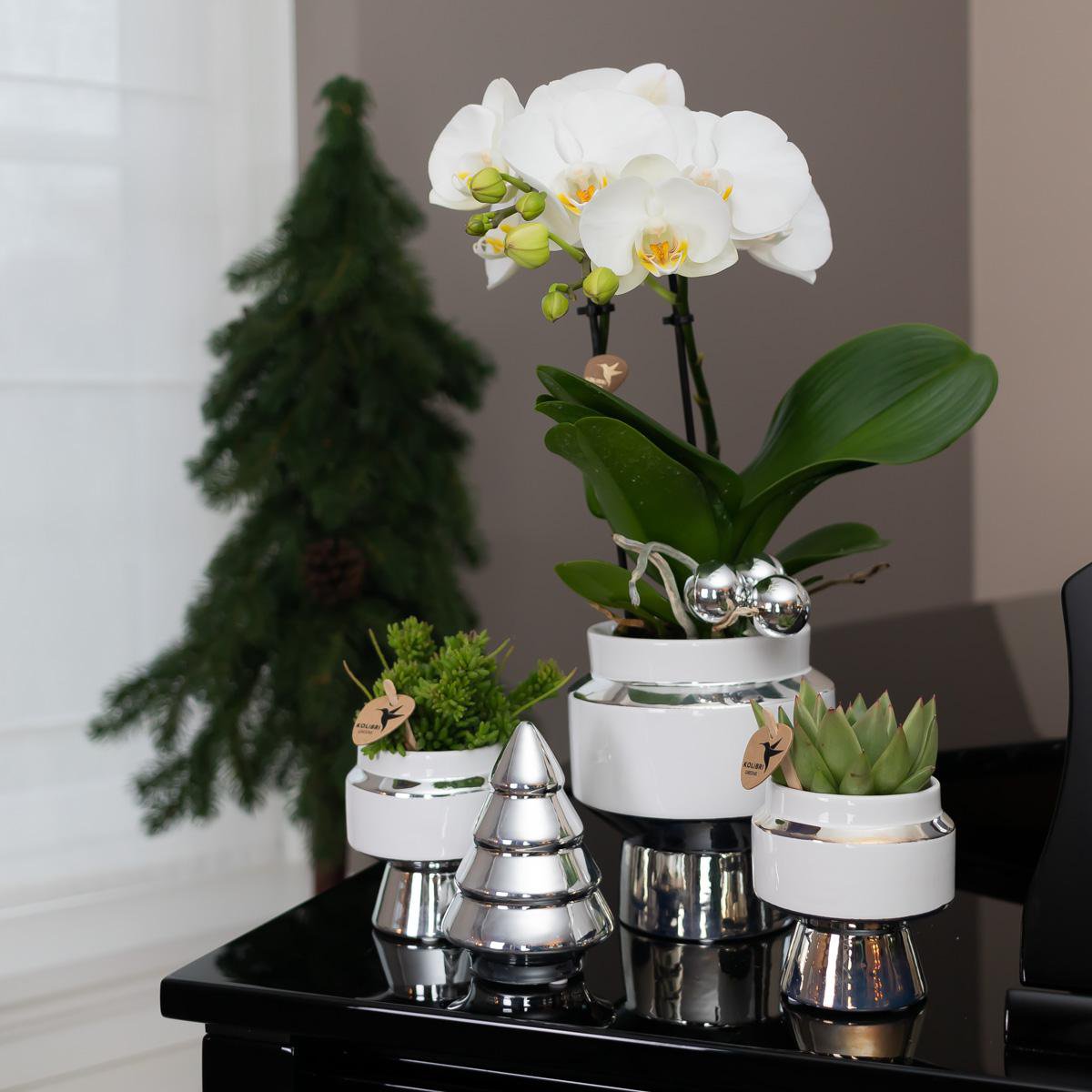 Anro Style Le Chic bloempot - Witte keramieken sierpot met zilveren details - Ø6cm
