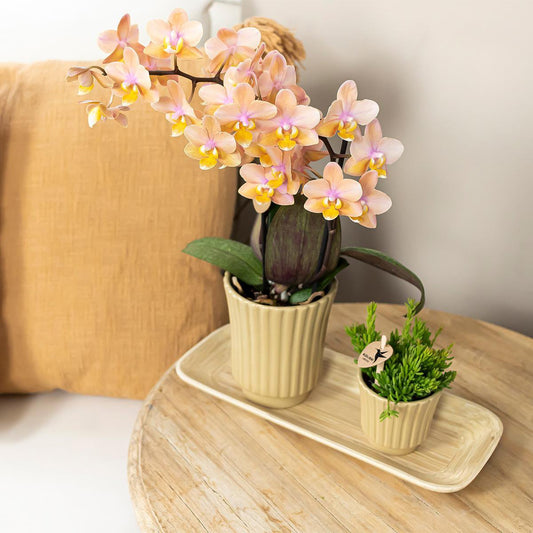 Anro Style Retro khaki bloempot - khaki kleurige keramieken sierpot - Ø6cm