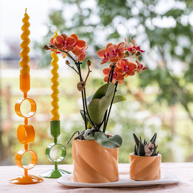 Anro Style Gift set Optimism small peach | Groene plant met oranje Phalaenopsis orchidee in Candy sierpotten op wit organisch dienblad