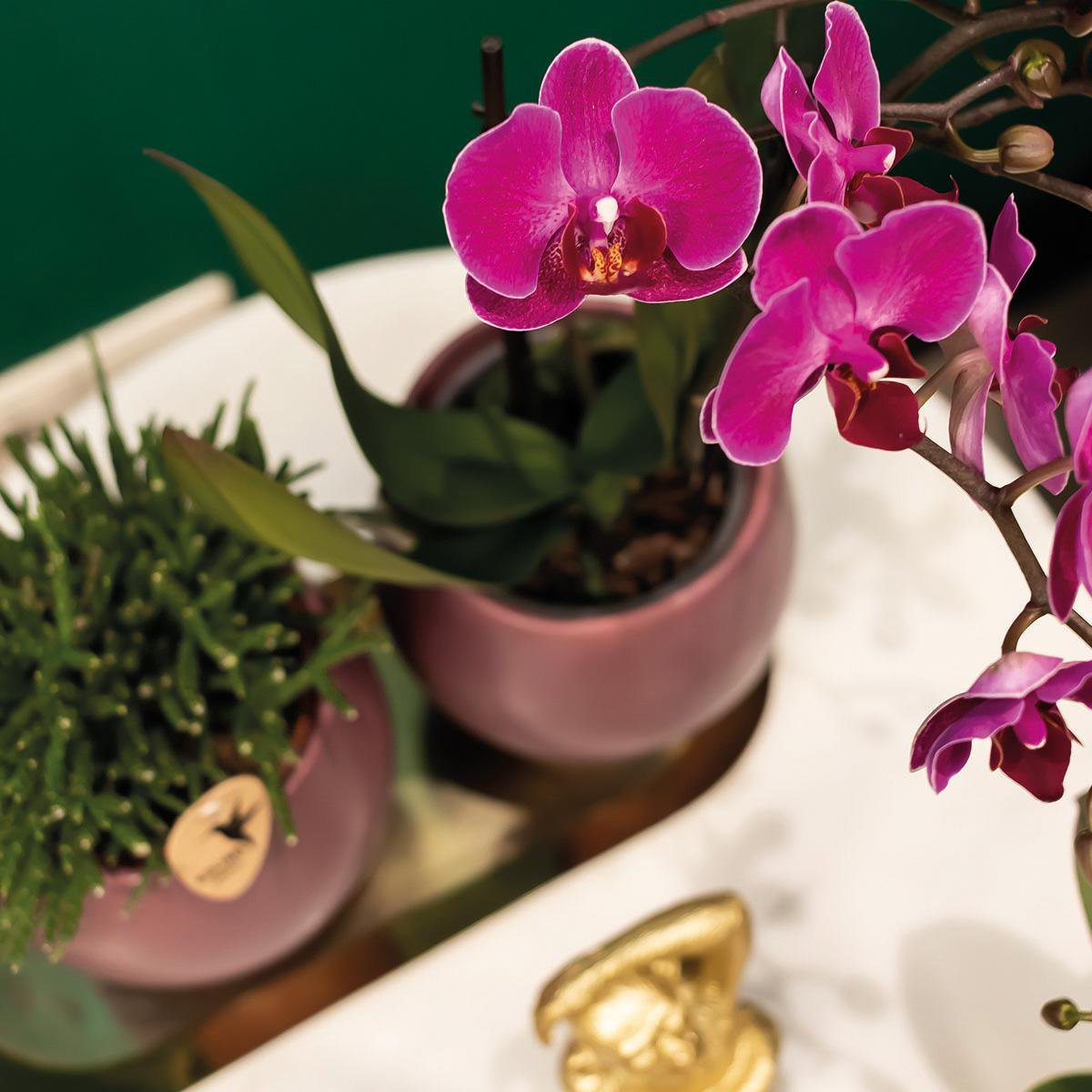 Anro Style Scandic bloempot violet - Paarse keramieken sierpot - potmaat Ø9cm