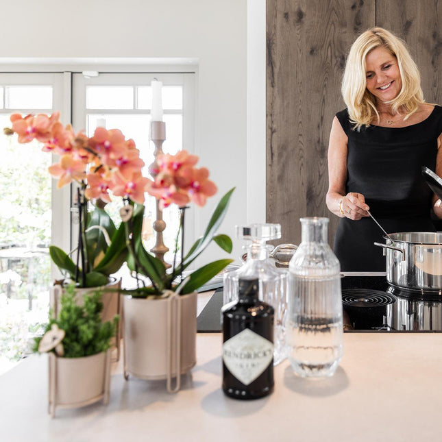 Anro Style COMBI DEAL van 2 oranje Phalaenopsis orchideeën - Bolzano - potmaat Ø9cm  bloeiende kamerplant - vers van de kweker