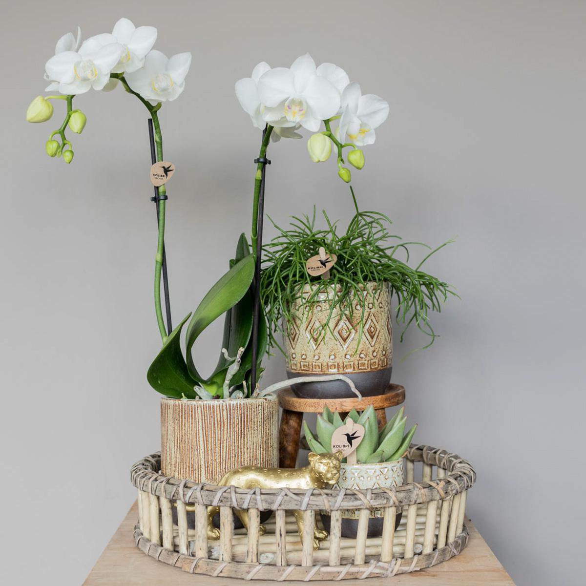 Anro Style Decoratieschaal - Rond Willow dienblad Ø30cm