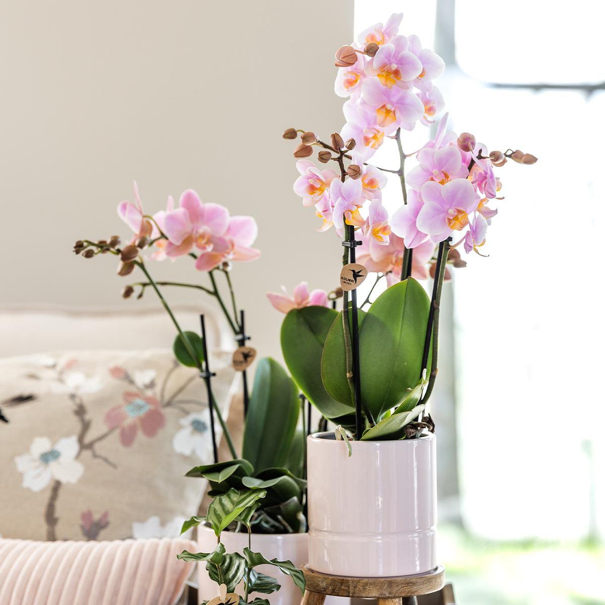Anro Style Pastel pot white - Ø9cm