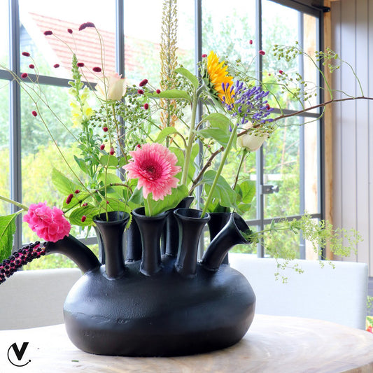 Vaas - Assen black