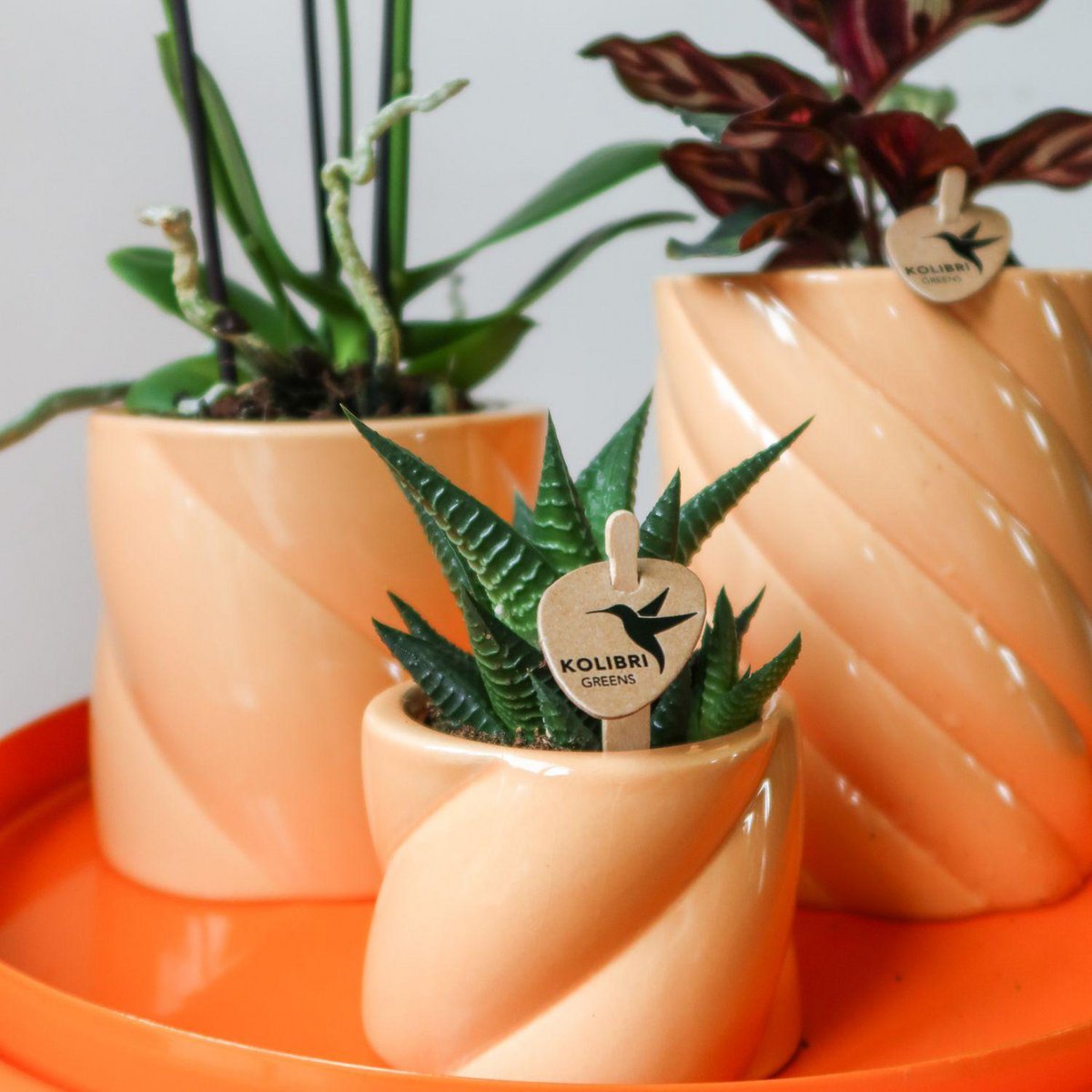 Anro Style Candy sierpot | Hoog - Peach - Ø9cm