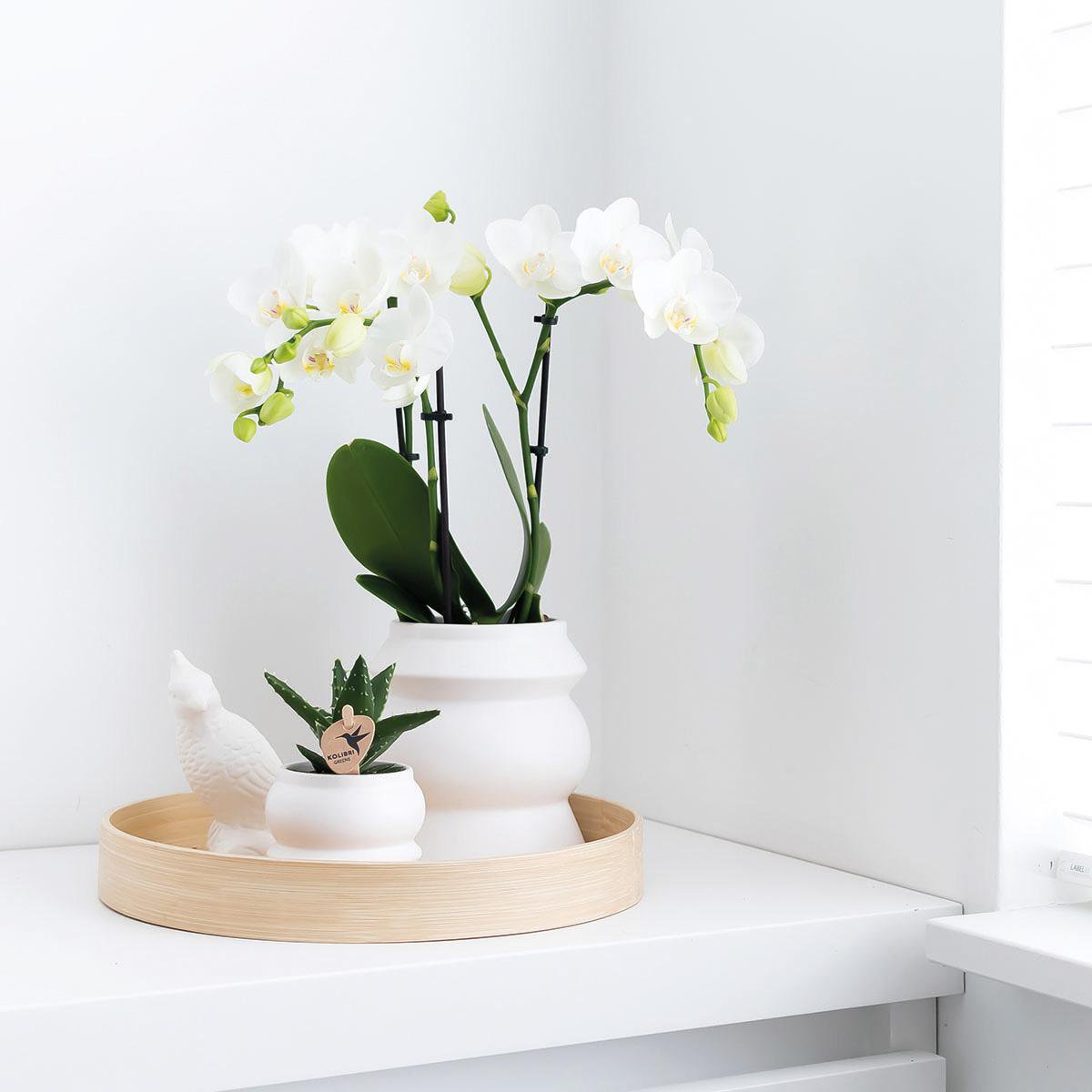Anro Style Decoratieschaal - Rond egaal bamboe dienblad Ø30cm