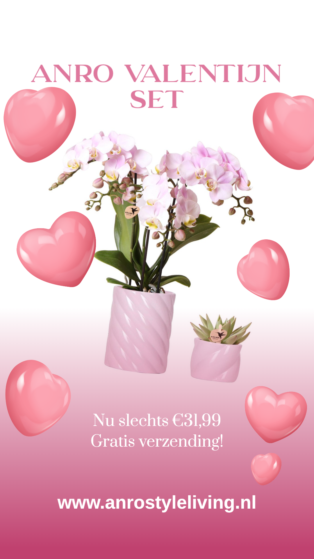 Anro Style Valentijn Set Roze Phalaenopsis Orchidee Portugal en Succulent incl. keramieken sierpotten